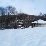 Wilding Yurt