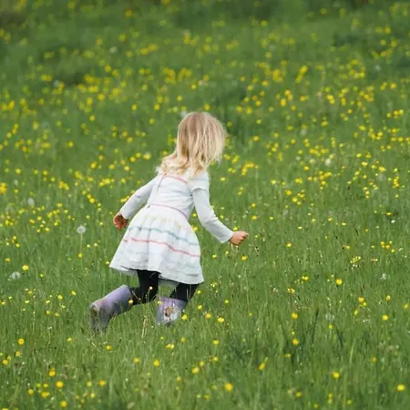 Wilding Yurt * Broughton-in-Furness