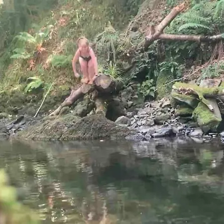 Οργανωμένο κάμπινγκ Wilding Yurt