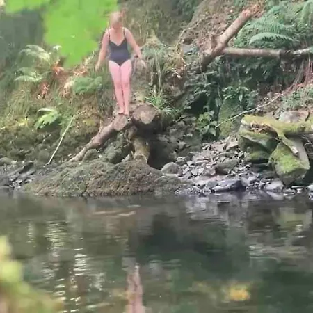 Wilding Yurt Οργανωμένο κάμπινγκ Broughton in Furness