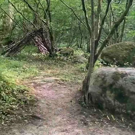 Wilding Yurt Οργανωμένο κάμπινγκ Broughton in Furness