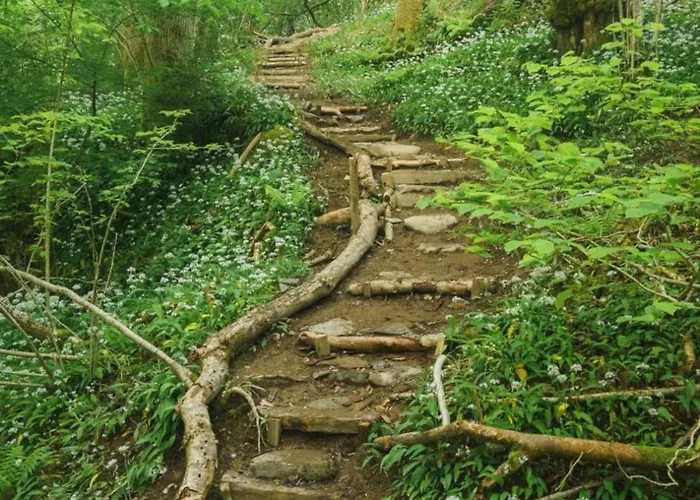 Wilding Yurt Luxusní stan *