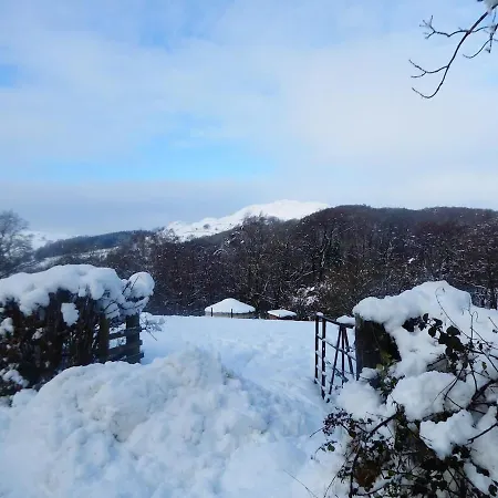 Campo de lujo Wilding Yurt