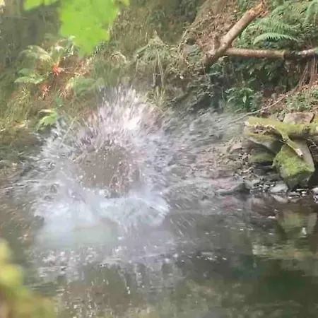Wilding Yurt Broughton in Furness