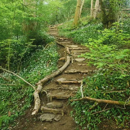 Wilding Yurt Campo de lujo *