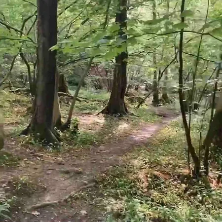 Wilding Yurt Broughton in Furness